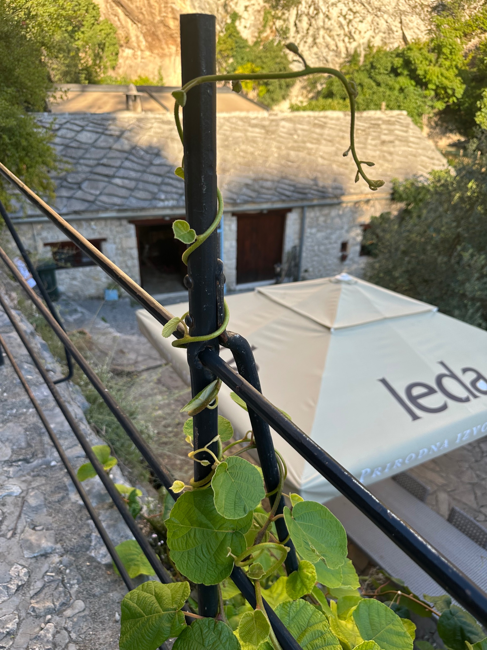 Blagaj