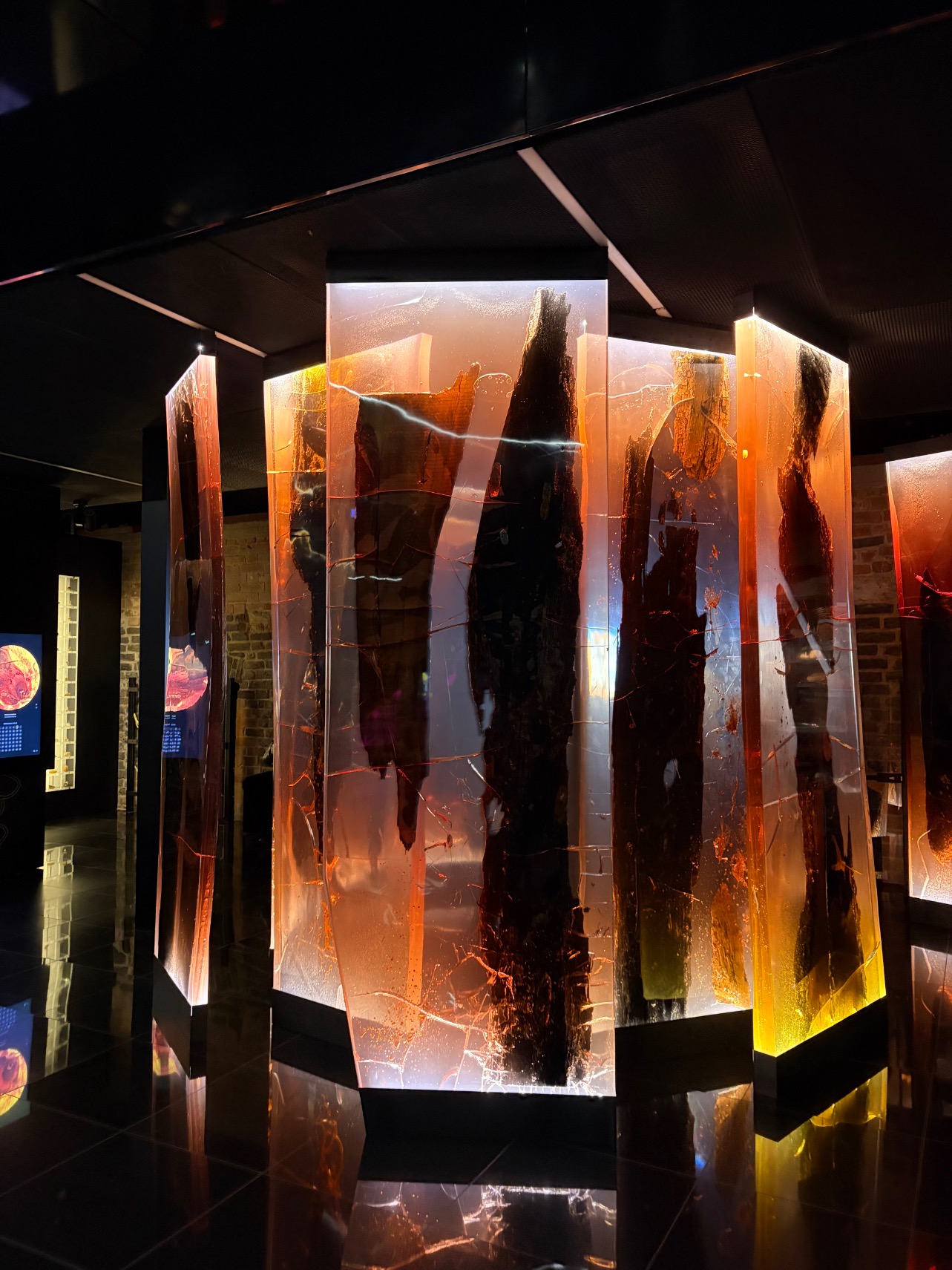 Museum of Amber